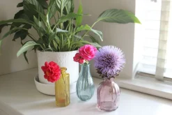 3 Colours Glass Vases