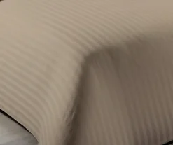 100% Cotton 200 Thread Count Flat Sheet Natural
