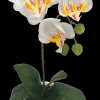 Artificial Bonsai Orchid Flower White 55cm