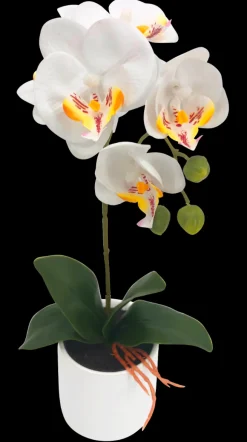 Artificial Bonsai Orchid Flower White 55cm