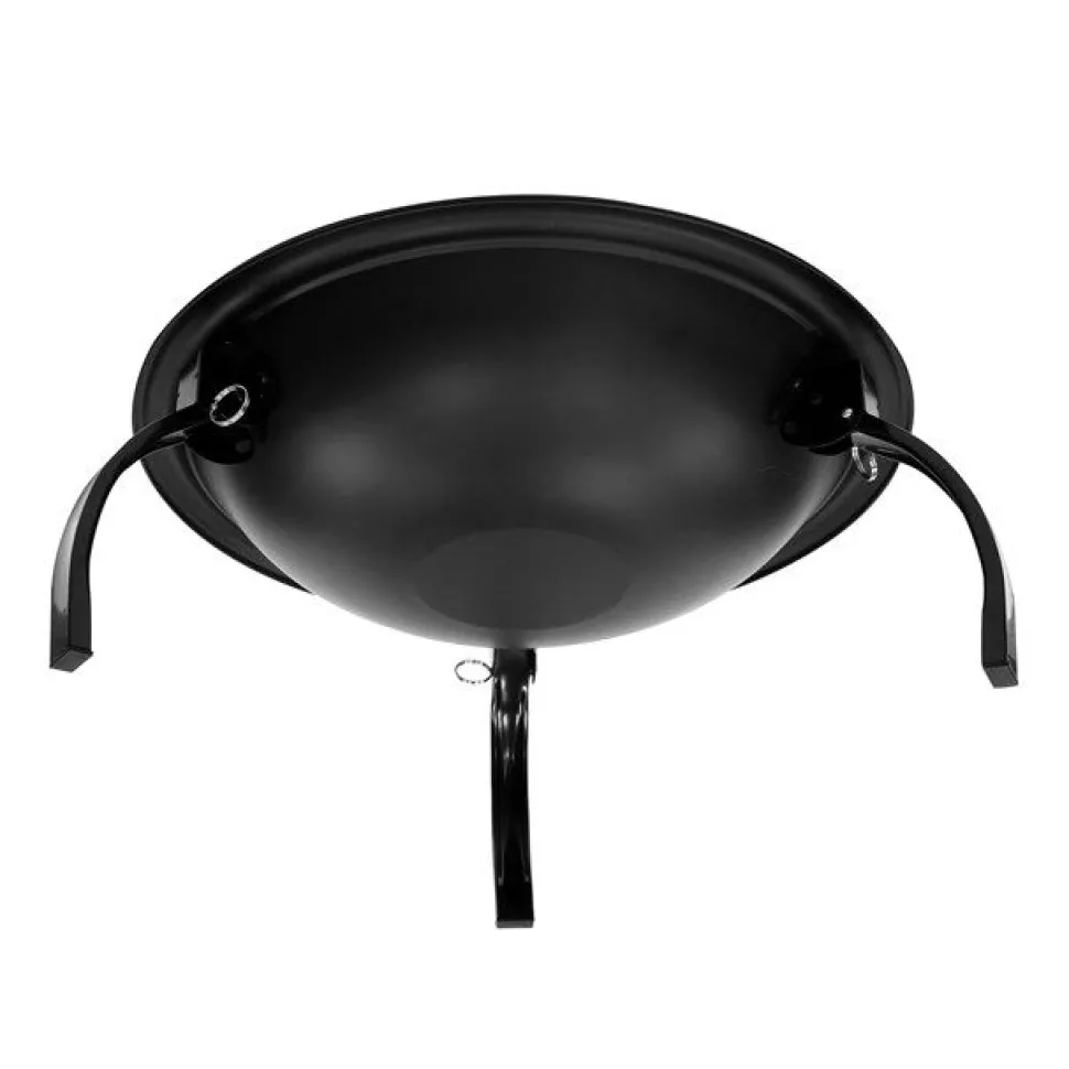 BBQ Grill and Firepit