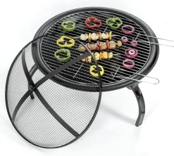 BBQ Grill and Firepit