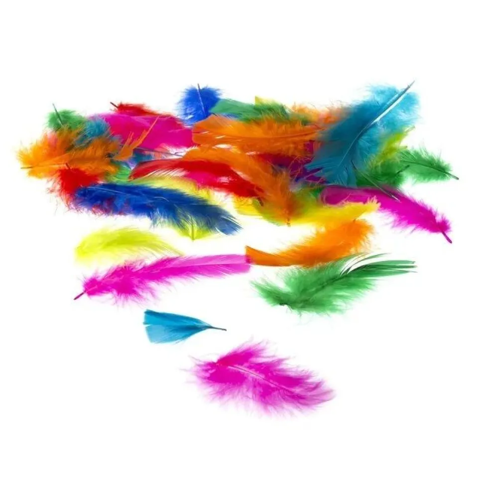 Craft Feathers Mixed Sizes 8g Bag