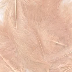 Craft Feathers Mixed Sizes 8g Bag