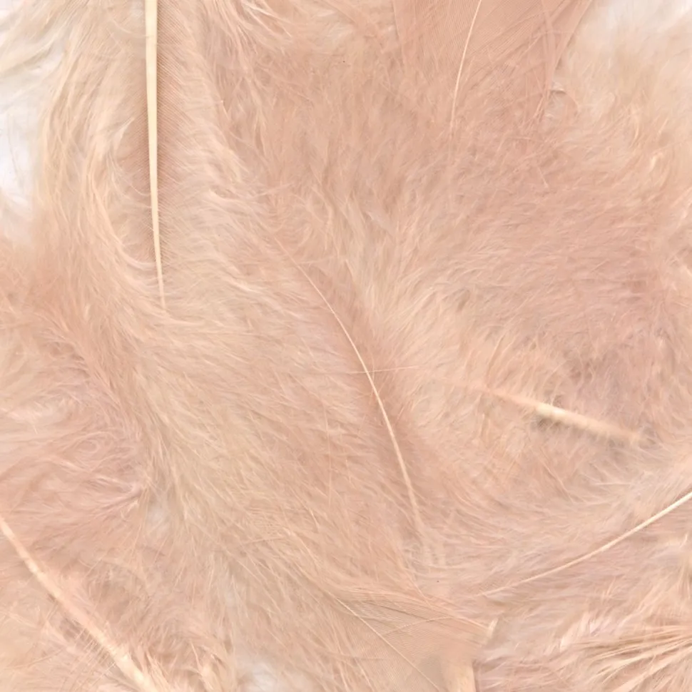 Craft Feathers Mixed Sizes 8g Bag