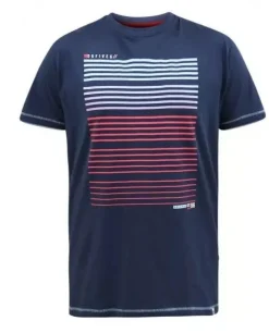 Cransford Gradient Line Outsize Men's T-Shirt