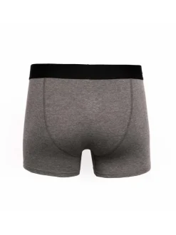 Duck & Cover 2 Pack Boxers Dalton Grey