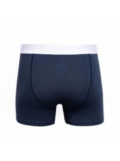 Duck & Cover 2 Pack Boxers Galton Green & Blue