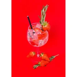 High Quality Plastic Balloon Gin Glass 600ml by Bello