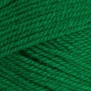 Special DK Yarn 1116 Green 100gm