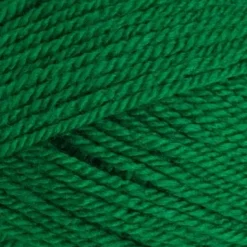 Special DK Yarn 1116 Green 100gm