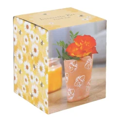 Terracotta Bee Plant Pot