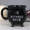 Witches Brew Cauldron Mug